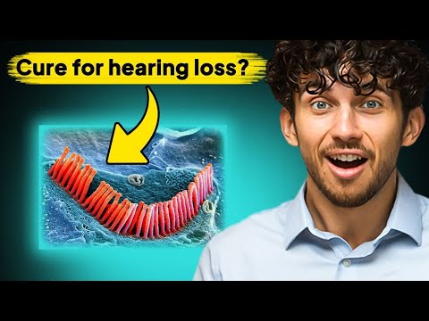 Видео: Новое исследование Стэнфорда может обратить вспять потерю слуха и шум в ушах