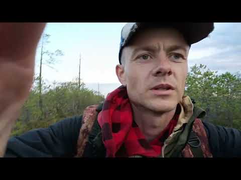 Видео: Болотные хляби Конды или Злоключения археологов