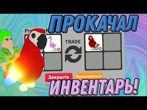 Видео: ПОЛУЧИЛ 2 НФР ПОПУГАЯ и Прокачал Инвентарь! НЕВЕРОЯТНЫЙ трейд и ТОП предложения в Роблокс Адопт ми 😱