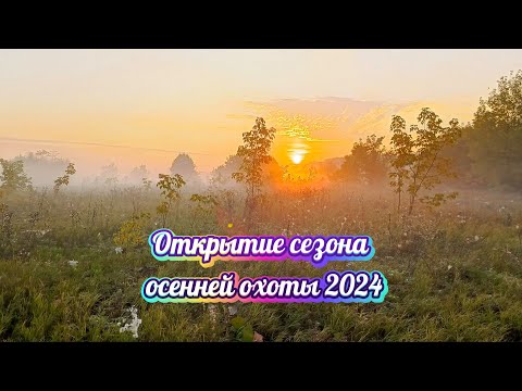 Видео: Открытие сезона осенней охоты   2024