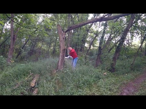 Видео: Уничтожение вдоводела