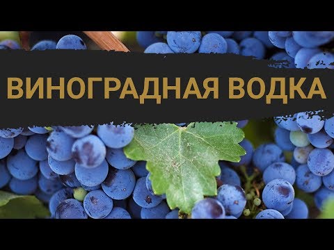 Видео: Рецепт виноградной водки в домашних условиях (граппа, чача)