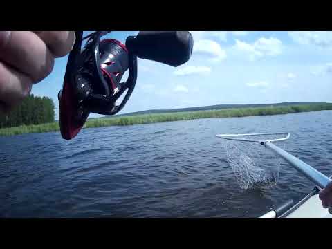 Видео: Рыбный бум или бунт!?😁открытие сезона, ПОЕХАЛИ!!!!!