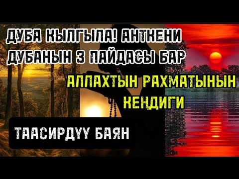 Видео: ДУБА КЫЛУУНУН 3 ПАЙДАСЫ БАР/АУДИОЛОШТУРУЛГАН БАЯН