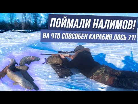 Видео: МОЩЬ КАРАБИНА "ЛОСЬ 7"! РЫБАЛКА НА НАЛМА!