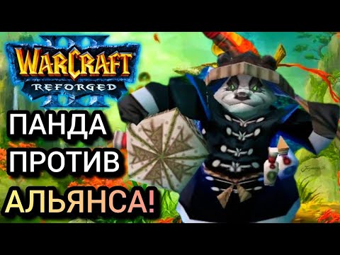 Видео: Панда против альянса! [Hum] vs [Ne] Warcraft 3 Reforged