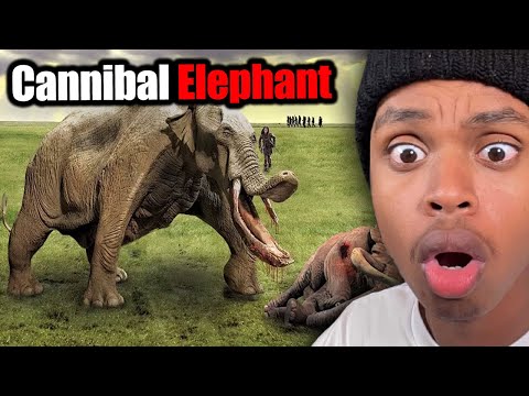 Видео: Смертоносные животные, вымиранию которых мы рады