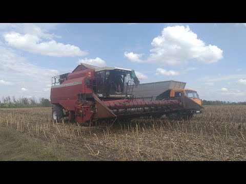 Видео: Уборка подсолнуха 2017 ПОЛЕСЬЕ GS12