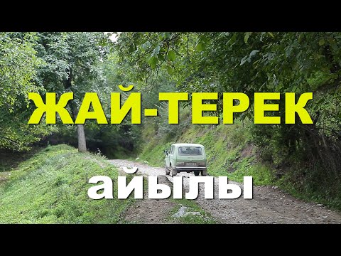 Видео: Жай терек youtube