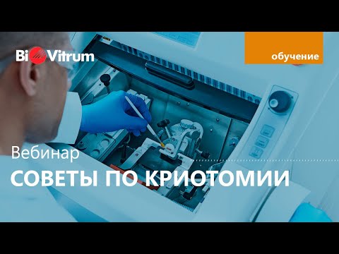 Видео: Вебинар по криотомии