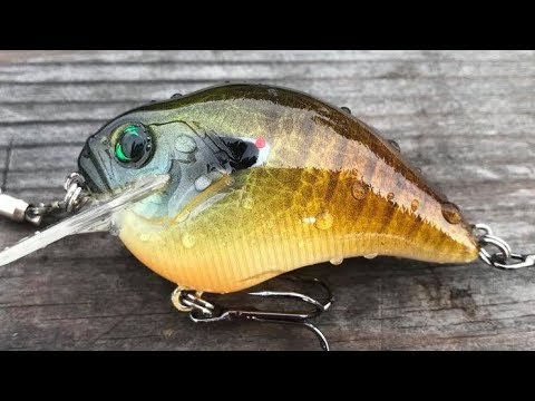 Видео: Рисование реалистичного Supreme Blue Gill