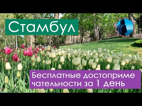 Видео: 2024. Бесплатные достопримечательности Стамбула за 1 день