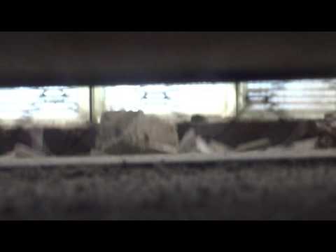 Видео: Электрический лифт V=0,71 м-с, грузоподъемность 320 кг (2057)