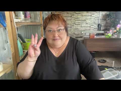 Видео: #клематисы  #выращиваниеклематисов  #черенкованиеклематиса