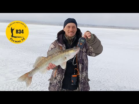 Видео: Отпуск , это хорошо. Встреча с подписчиками, рыбалка, отдых. Лучшие друзья.