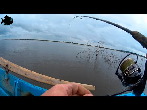 Видео: Сколько окуня у этой коряги?  вертушка, джиг и в отвес с лодки  (шаромыга) Щучку, все-таки, поймал!