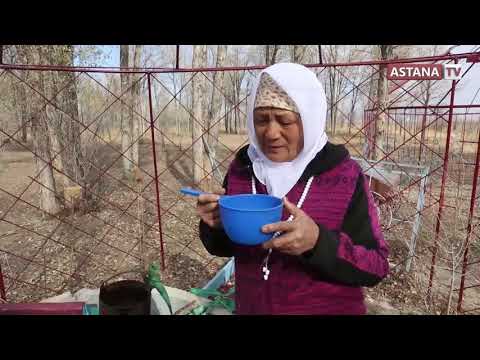 Видео: Ғажайып Қазақстан. Жамбыл облысы, Тұрар Рұсқұлов ауданы (04.05.2019)