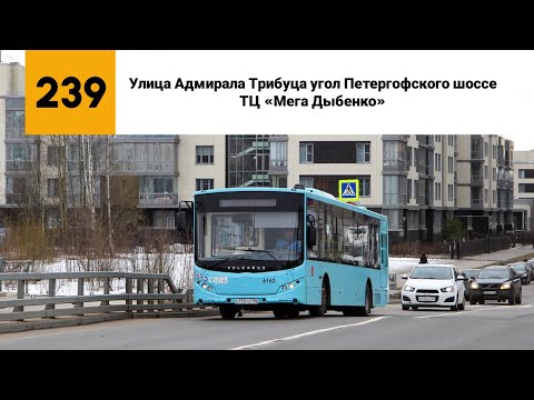 Видео: Автобус №239. (Улица Адмирала Трибуца угол Петергофского шоссе - ТЦ «Мега Дыбенко»).