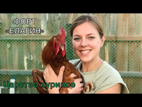 Видео: Купили первых кур! Как завести кур. Из города в деревню.