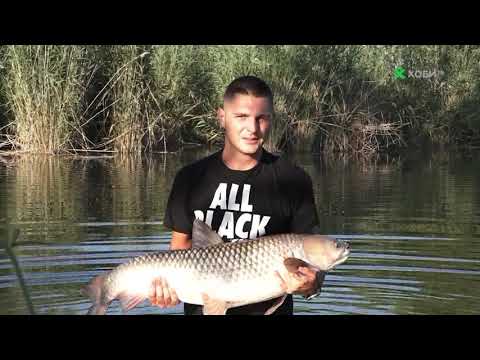 Видео: Риболов на Амури на ''Кисимови дупки''_www.digitalstudio.bg