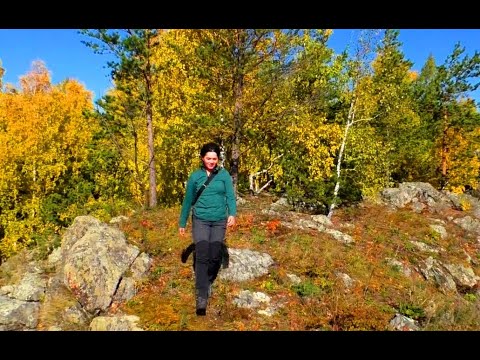 Видео: Осенний поход. Дыроватый камень, Воробьиный камень, Дегтярские воробьи, гора Балабан