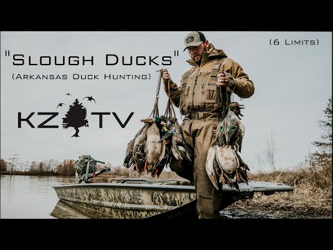 Видео: Утки из Арканзаса (Слау Дакс)!! (ПОКРЫТЫ ПТИЦАМИ) K Zone TV: "Утки из Слау"