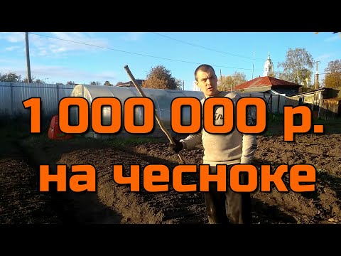 Видео: РЕАЛЬНО ЛИ ЗАРАБОТАТЬ 1 000 000 РУБЛЕЙ НА ЧЕСНОКЕ?!