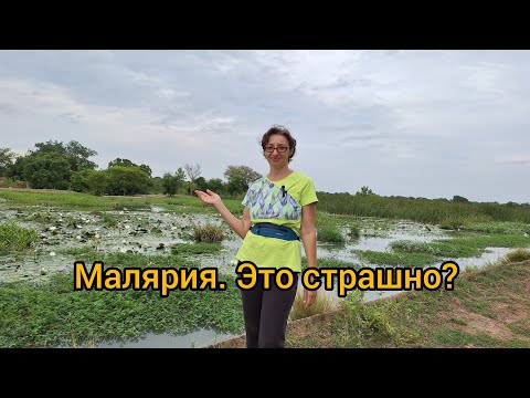 Видео: #67 Гана. Здесь Все Болеют Малярией