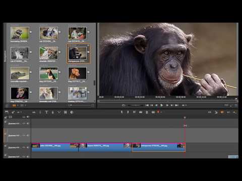 Видео: Создание слайд шоу в редакторе видео Pinnacle Studio 20
