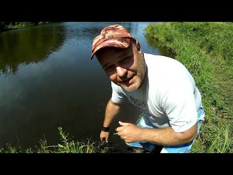 Видео: Рыбалка в Пензенской области Новый классный водоём. Ловим толстолоба и карпа.