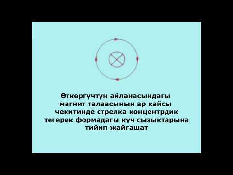Видео: Тогу бар түз өткөргүчтүн магнит талаасынын күч сызыктарынын  формасын жана багытын аныктоо