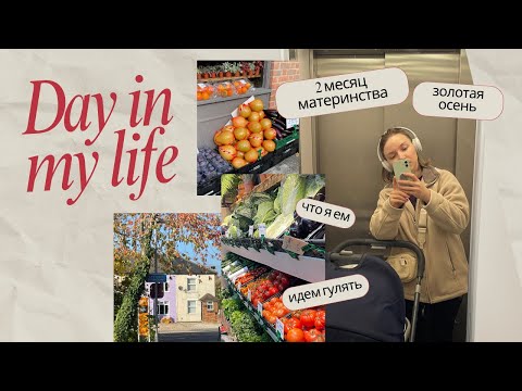 Видео: VLOG: #1 Я стала мамой во второй раз, мои будни с 2 месячным малышом 