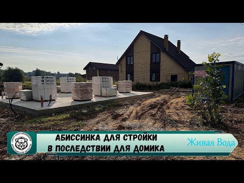 Видео: Абиссинская скважина Ярославль 💧// Ивановский Перевоз