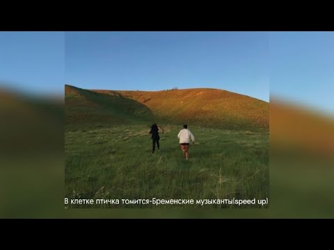 Видео: Встанет солнце над лесом(𝑆𝑝𝑒𝑒𝑑 𝑢𝑝)