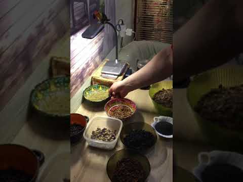 Видео: Полноценный, здоровый рацион для чижей