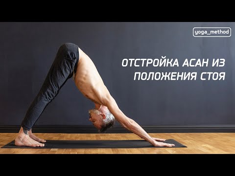 Видео: Отстройка асан из положения стоя. Работа с точкам опоры