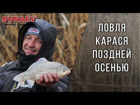 Видео: Карась поздней осенью на фидер