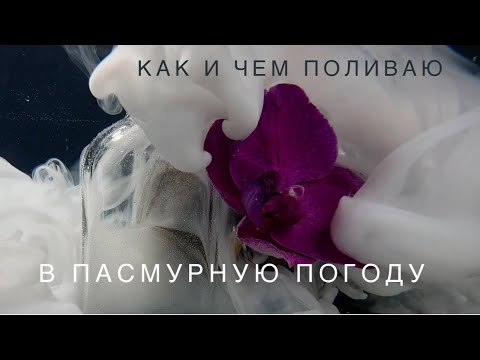 Видео: Кому витамины-Кому апельсины😀?!