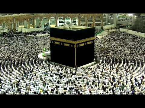 Видео: Магьди х1ажи Абидов - Имам Нававиясул хlизбу