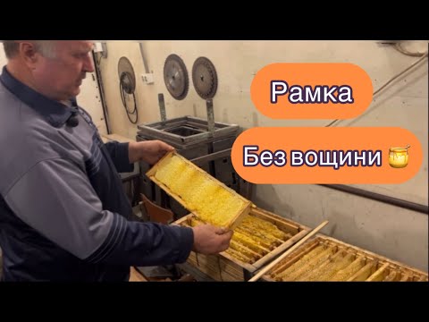 Видео: БЕЗВОЩИННА технологія 🍯 Показуємо РАМКУ 🇺🇦