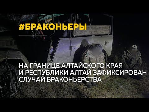 Видео: На границе Алтайского края и Республики Алтай задержали браконьеров