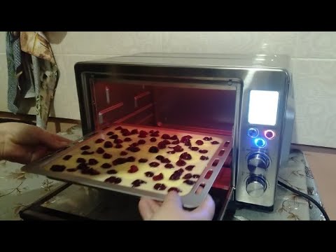 Видео: Собираем потери на кукурузе//Вишнёвый пирог и булочки в мини-печи OBERHOF MOFEN L24.