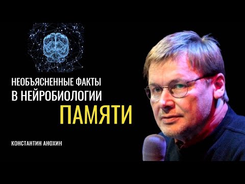 Видео: «Наука о памяти». Константин Анохин