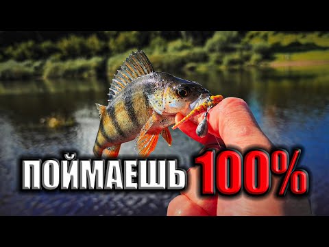 Видео: ХОЧЕШЬ ПОЙМАТЬ? ДЕЛАЙ ТАК! Связал данный монтаж и начал ловить!
