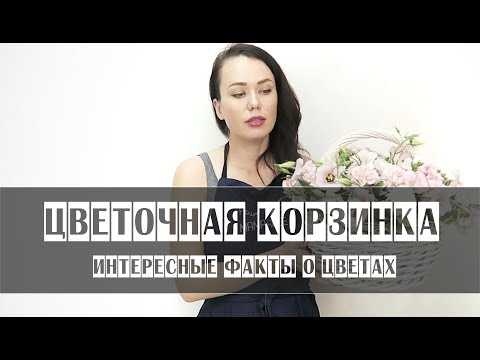 Видео: Интересные факты о цветах // Цветочная корзинка для маленькой девочки
