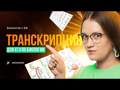 Видео: Транскрипция - синтез РНК на матрице ДНК. ЕГЭ по биологии 2024