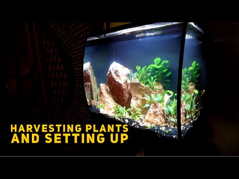 Видео: Посадка Flex 2.0