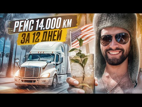 Видео: Из снега и -15 в пальмы и +32. Рейс 14000км. Сколько заработал?