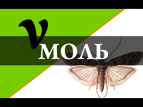 Видео: Моль.  Количество вещества. Химия – просто