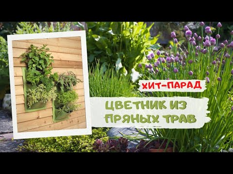 Видео: Цветник из пряных трав. Хит-парад!!!